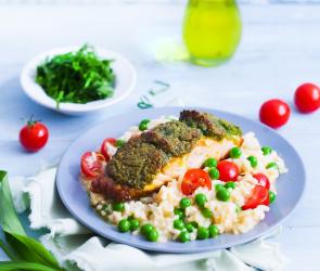 Lachsfilet mit Bärlauchhaube auf buntem Risotto auf einem Teller angerichtet.