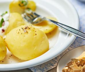 Pellkartoffeln auf einem Teller mit Petersilie garniert.