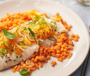 Rotbarschfilet mit Gemüsehaube und roten Linsen auf einem Teller angerichtet.