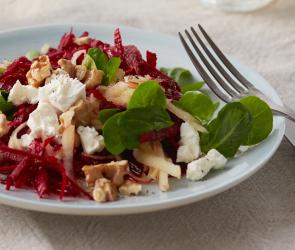 Rote-Bete-Apfel-Salat auf einem Teller angerichtet.
