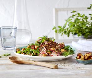 Veganer Berglinsen-Rucola-Salat mit Räuchertofu und Radieschen auf einem Teller.