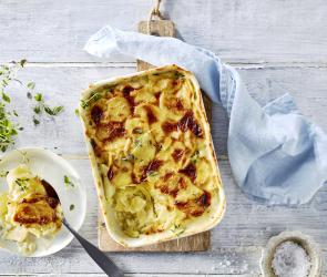 Kartoffelgratin in einer Auflaufform.