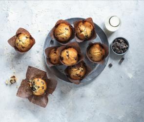 Joghurtmuffins mit Schokostückchen in Papierförmchen.