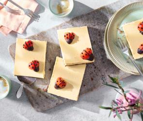 Marienkäfer Kuchen vom Blech in Stücke geschnitten.