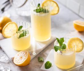 Schneller sommerlicher Limoncello Slush mit Minze und Zitrone garniert in Gläsern.