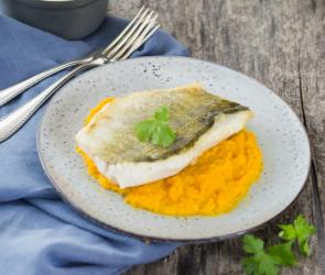 Knusprig gebratenes Zanderfilet auf cremigem Karottenpüree angerichtet auf einem Teller.