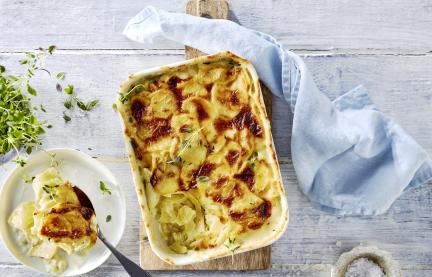 Kartoffelgratin in einer Auflaufform.