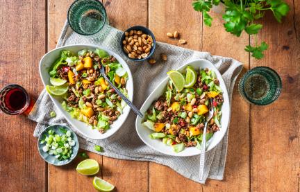 Thailändischer Hackfleischsalatmit vielen frischen Zutaten in zwei Schüsseln.