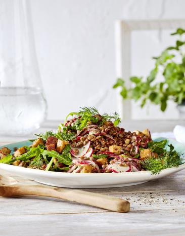 Veganer Berglinsen-Rucola-Salat mit Räuchertofu und Radieschen auf einem Teller. Veganer Berglinsen-Rucola-Salat mit Räuchertofu und Radieschen auf einem Teller.