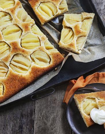 Apfelkuchen ohne Mehl Apfelkuchen ohne Mehl