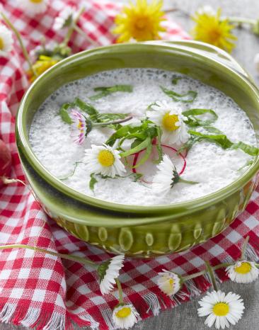 Kalte Radieschensuppe