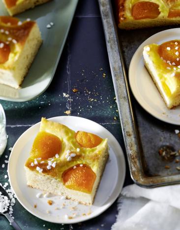 Aprikosen Puddingkuchen vom Blech Aprikosen Puddingkuchen vom Blech