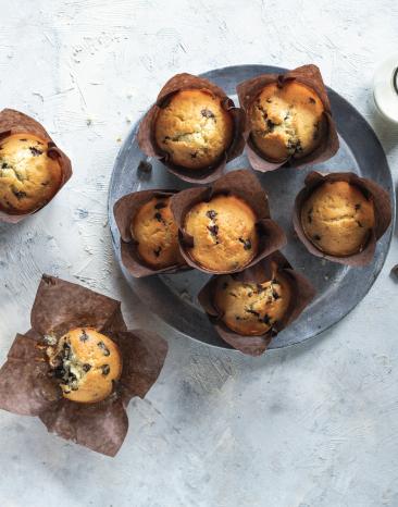 Joghurtmuffins mit Schokostückchen in Papierförmchen. Joghurtmuffins mit Schokostückchen in Papierförmchen.