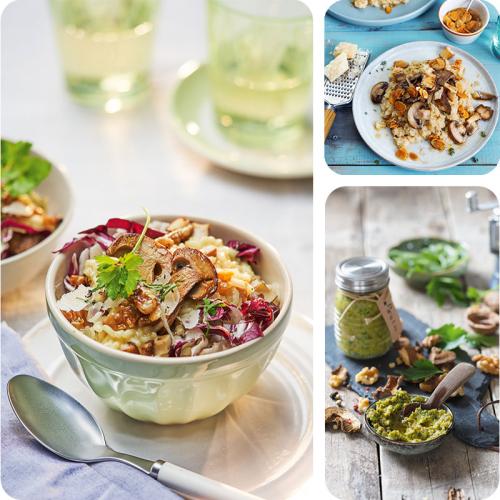 Pilzrezepte in einer Kachelgraphik